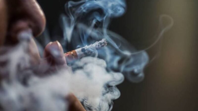 Nova Lei Antitabaco Proíbe Fumar em Terraços, Praias e Piscinas