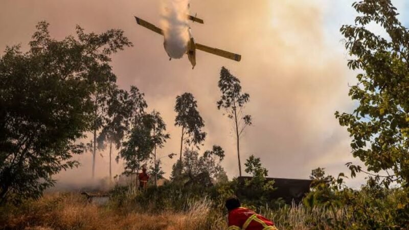 Espanha Declara Emergência Nacional por Incêndios em Madri e Ávila