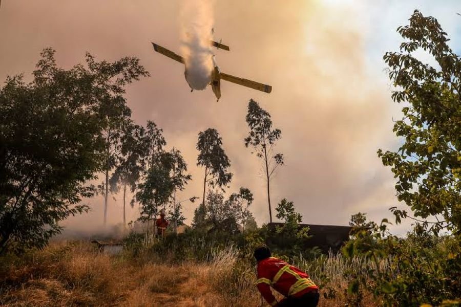 Espanha Declara Emergência Nacional por Incêndios em Madri e Ávila
